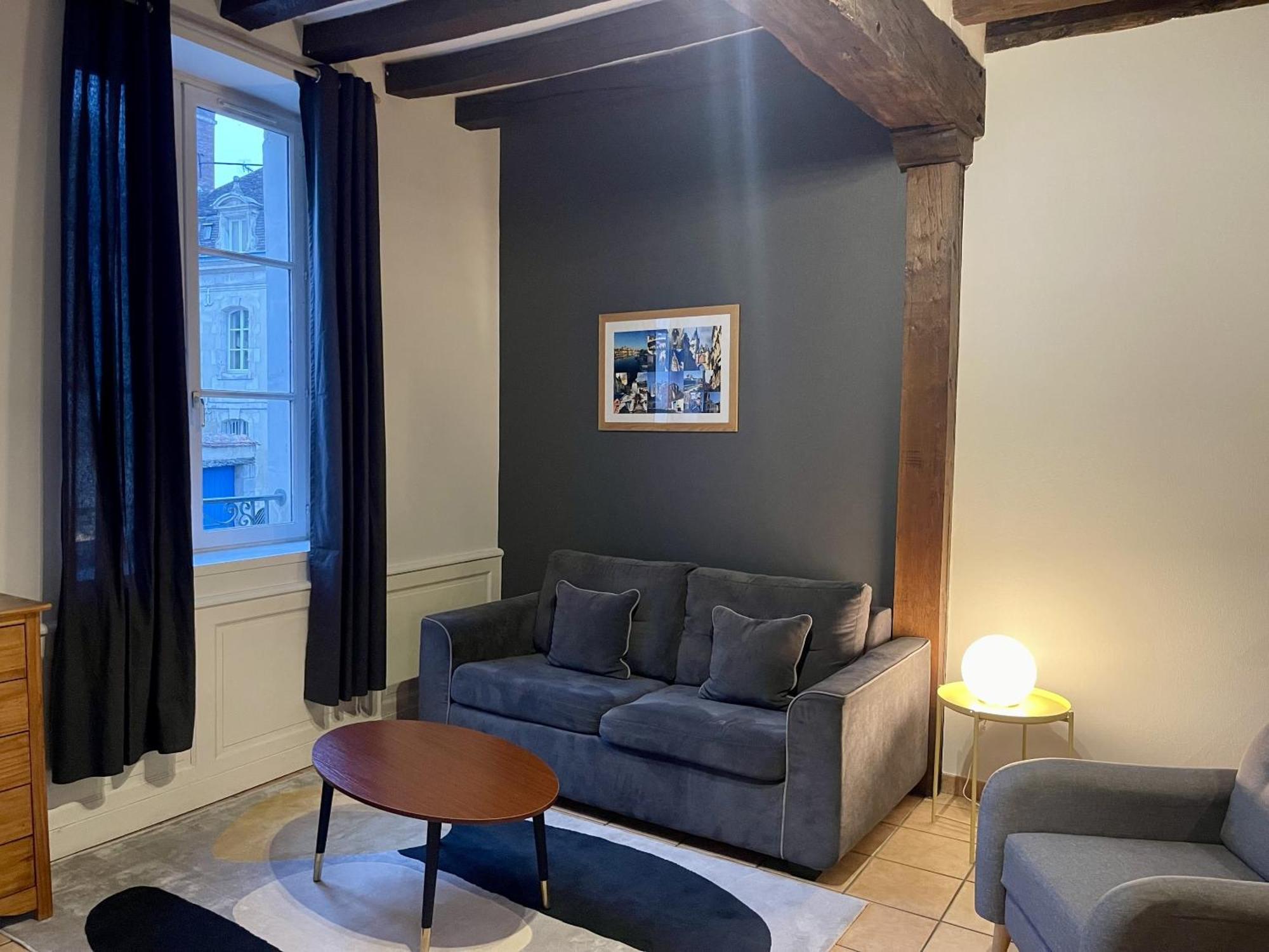 Appartement Le Coche D'Eau Auxerre Les Quais エクステリア 写真