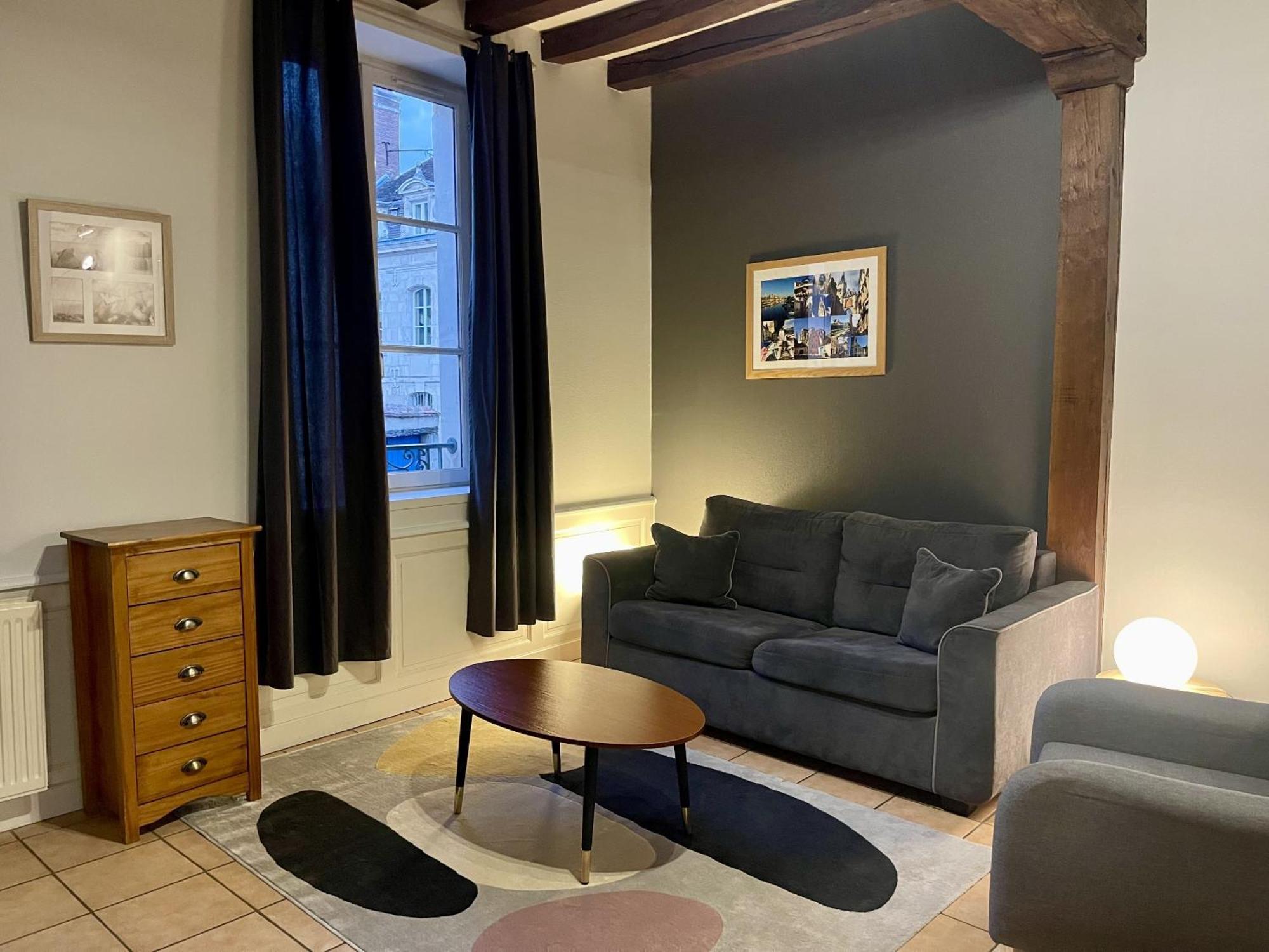 Appartement Le Coche D'Eau Auxerre Les Quais エクステリア 写真